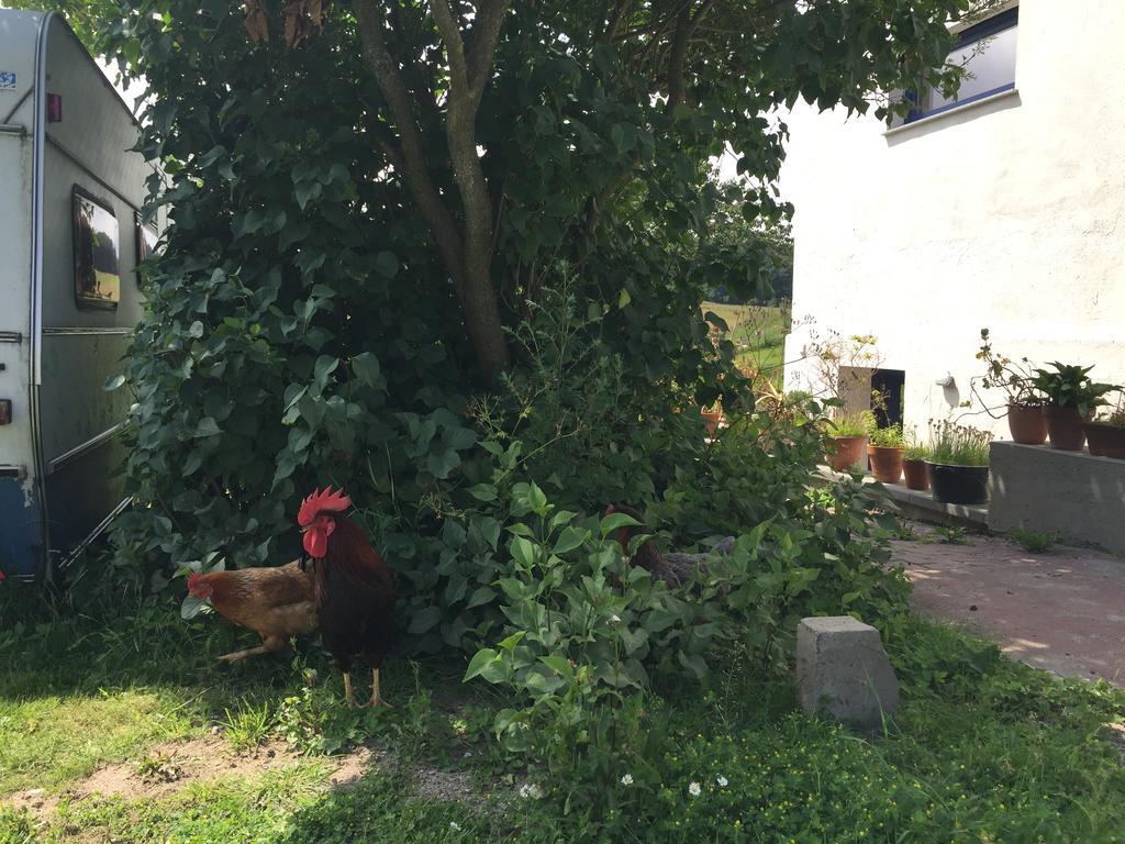 Hof Uhleck Am Koenigsstuhl Appartement Lohme Buitenkant foto
